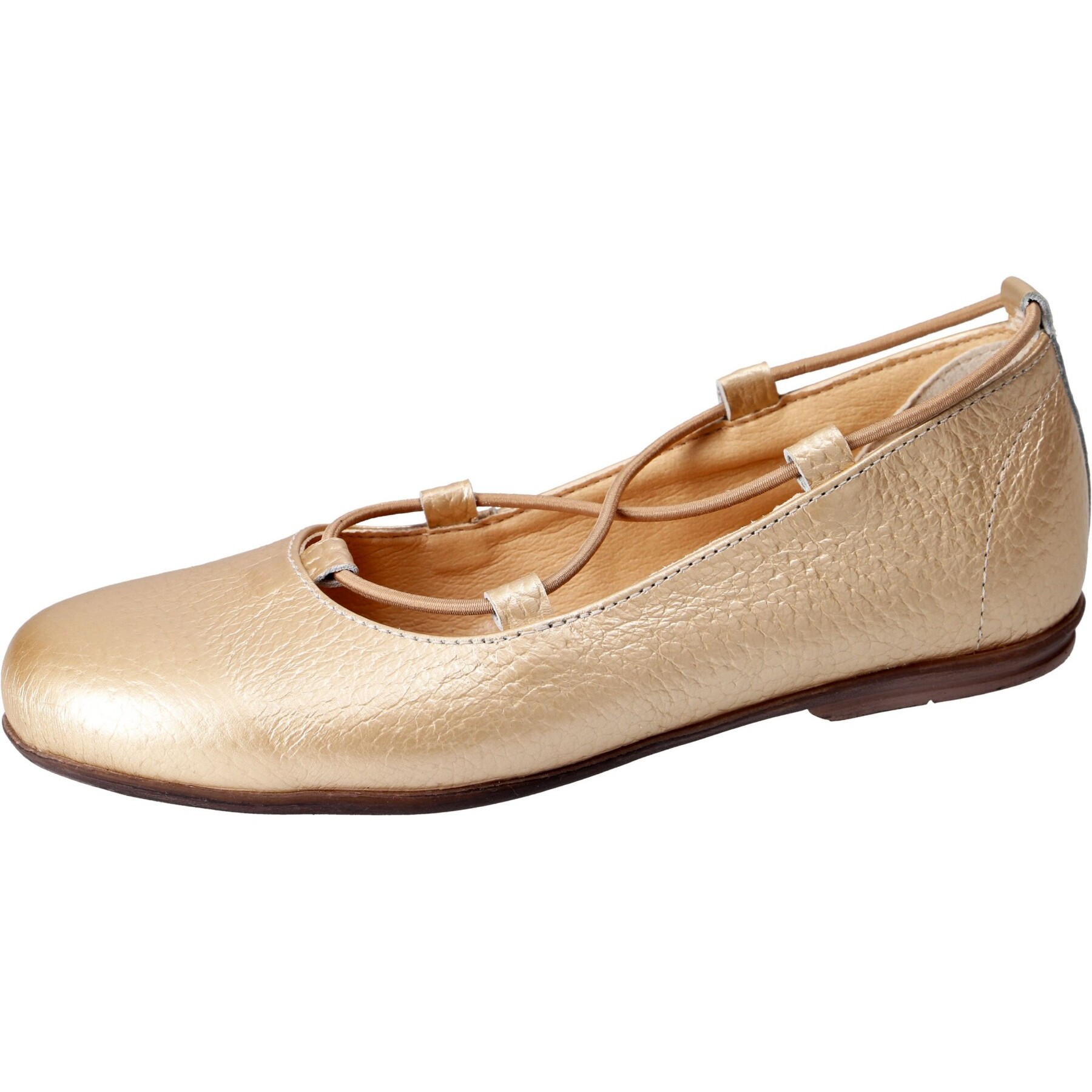 Volley gold Kaltfutter