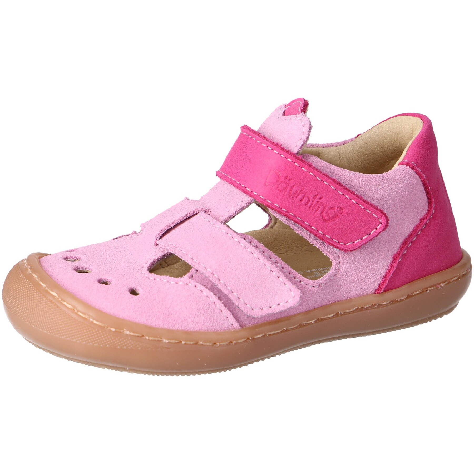 Turino begonia Kaltfutter