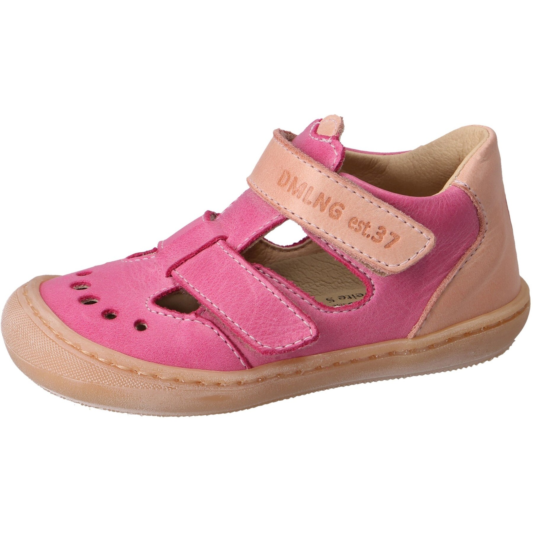 Chalk ciclamino Kaltfutter