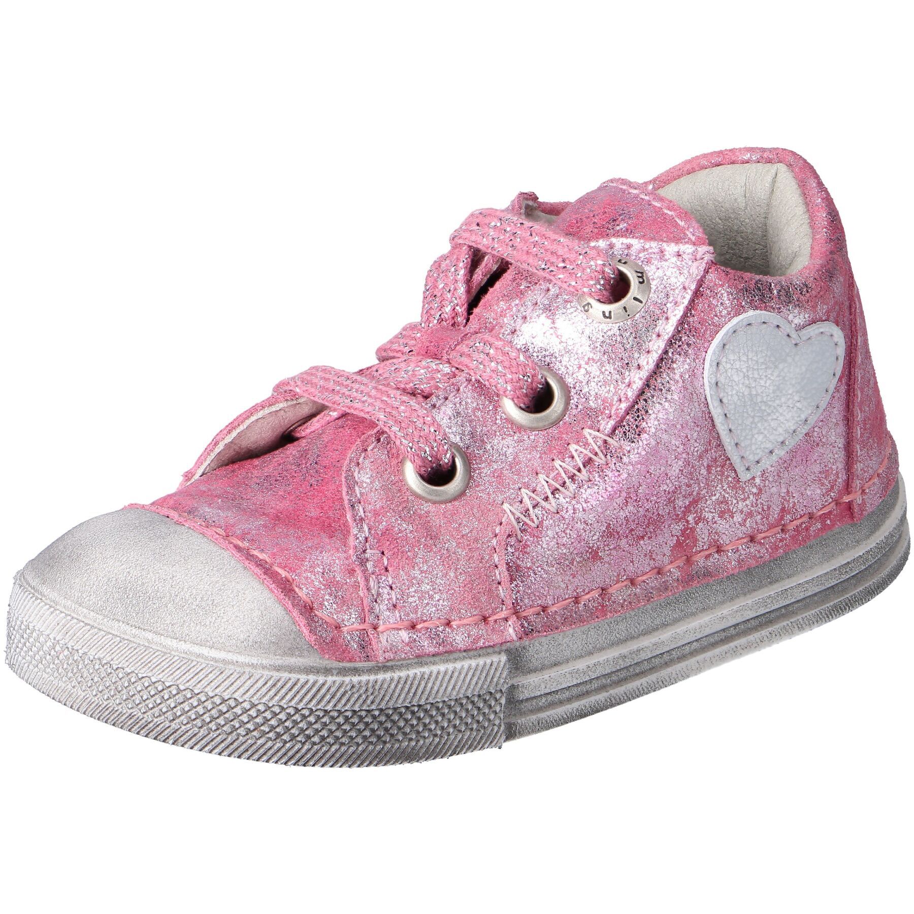 Regensy begonia Kaltfutter