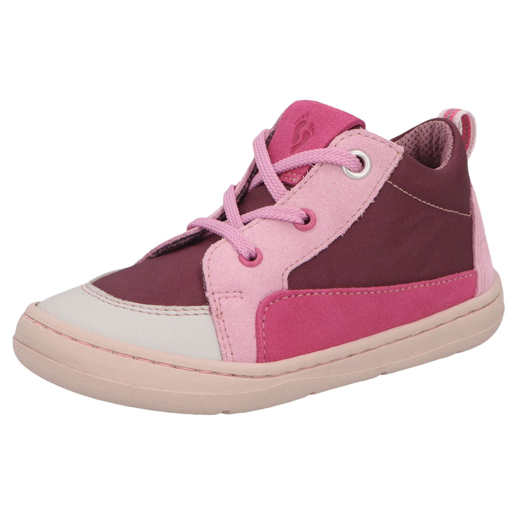 Turino begonia Kaltfutter